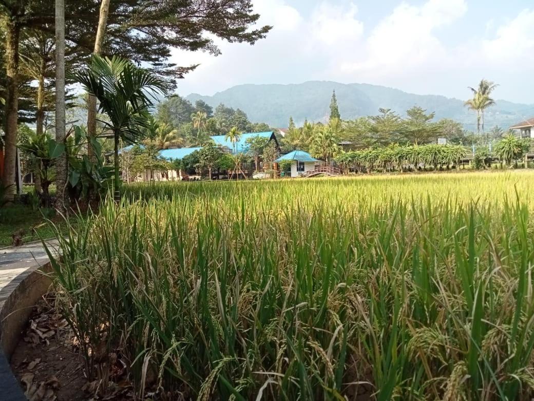 Aries Biru Hotel & Villa Puncak Exterior photo